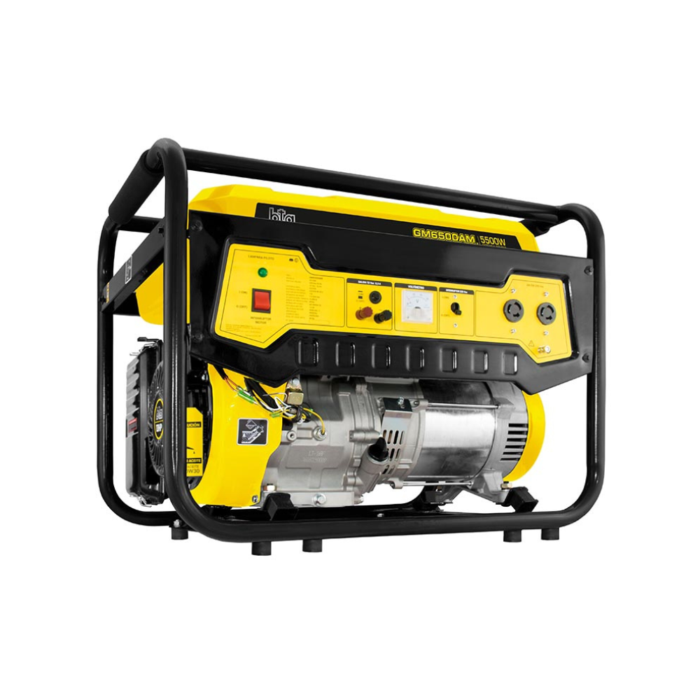 Grupo Electrógeno Generador BTA GM6500AM