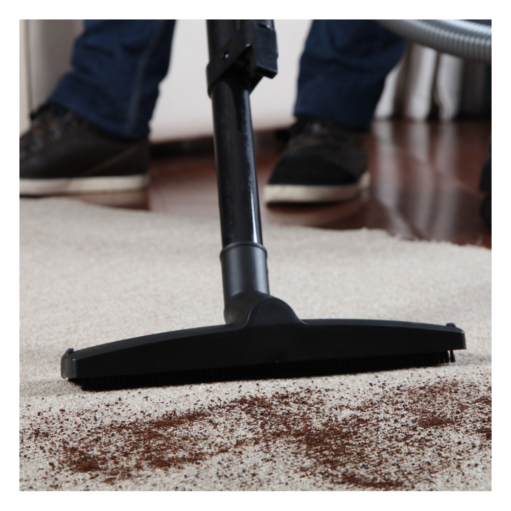 Aspiradora Industrial GAMMA 3x 1000