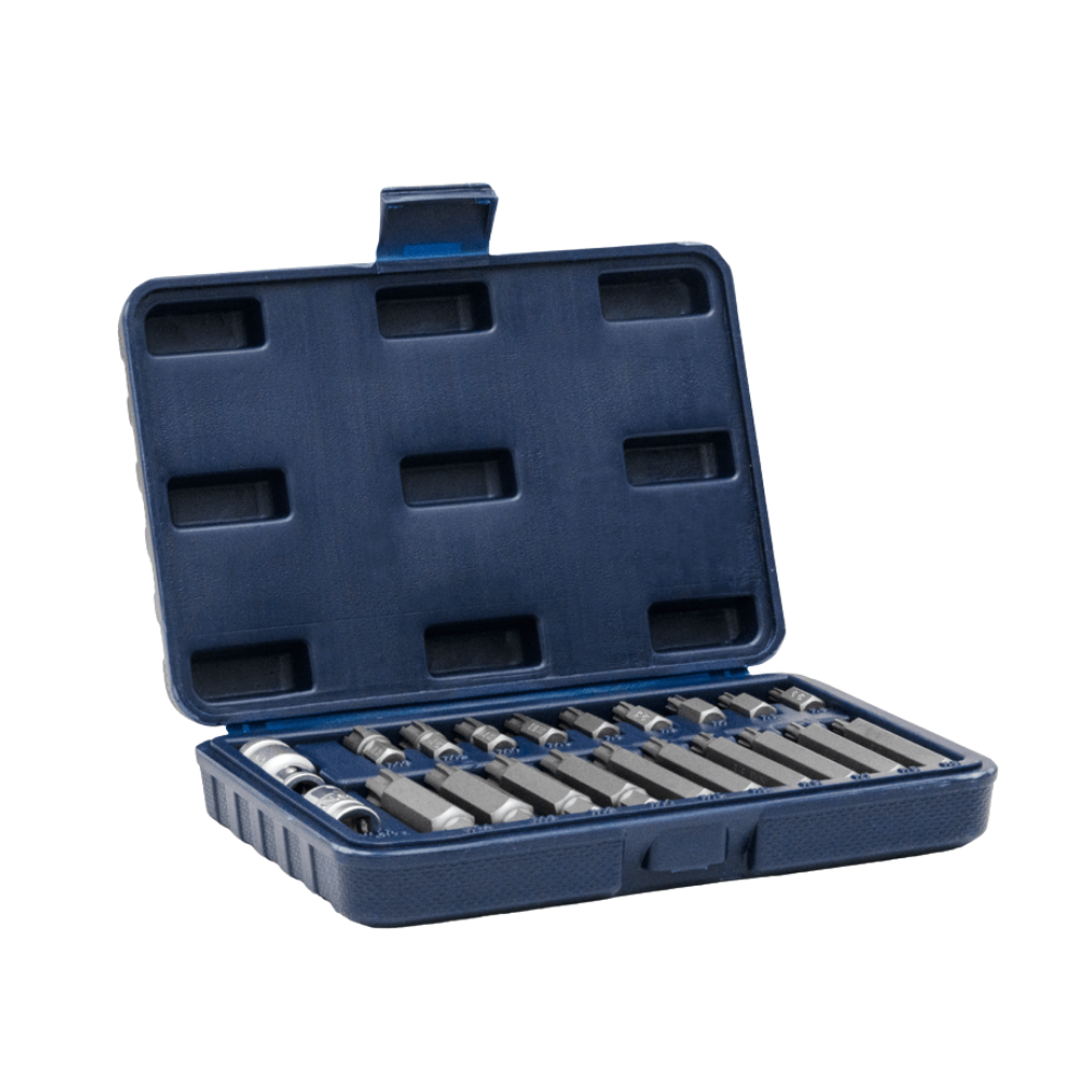 Juego de Puntas BREMEN Ribe 21 Pzs